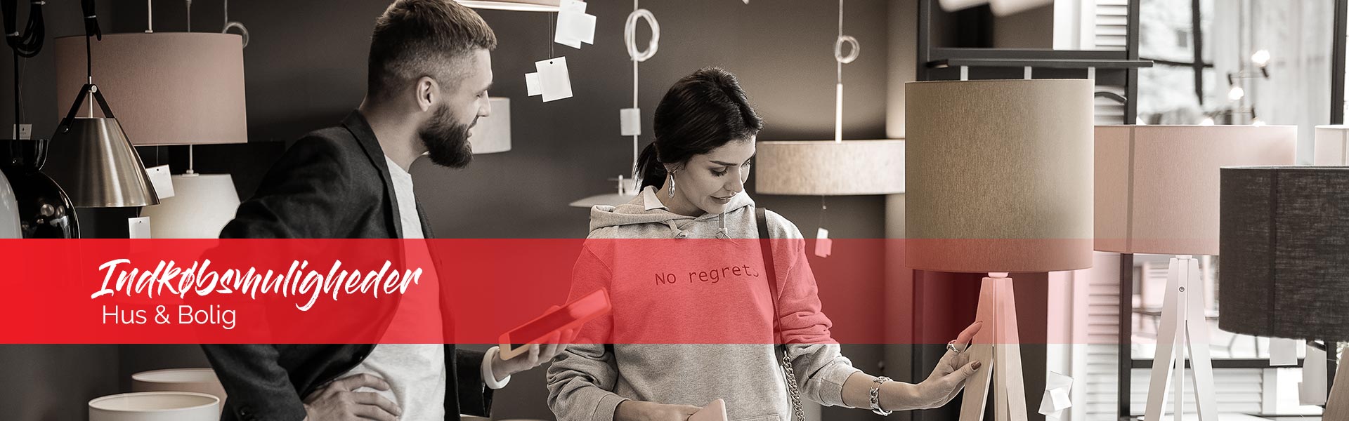 Boligejerskab i Harzen