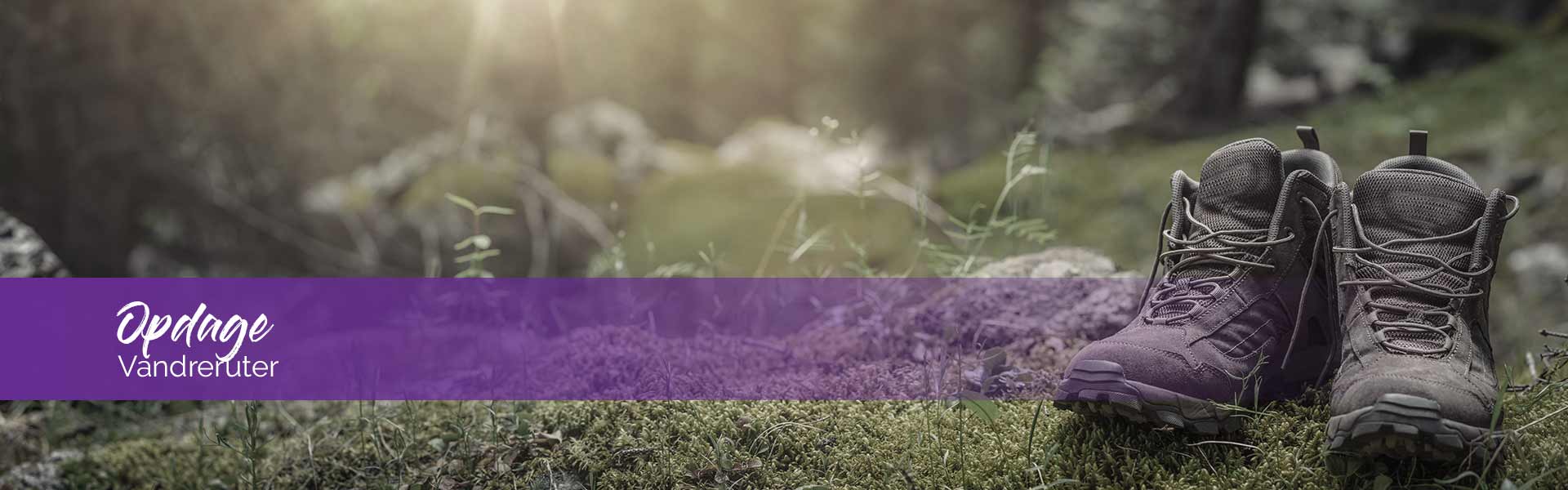 Vandrestier i Harzen