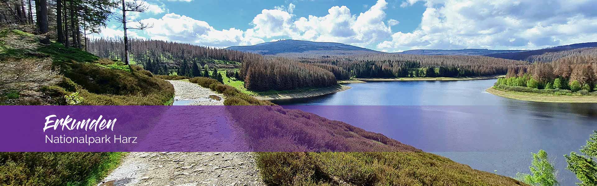 Nationalpark Harz