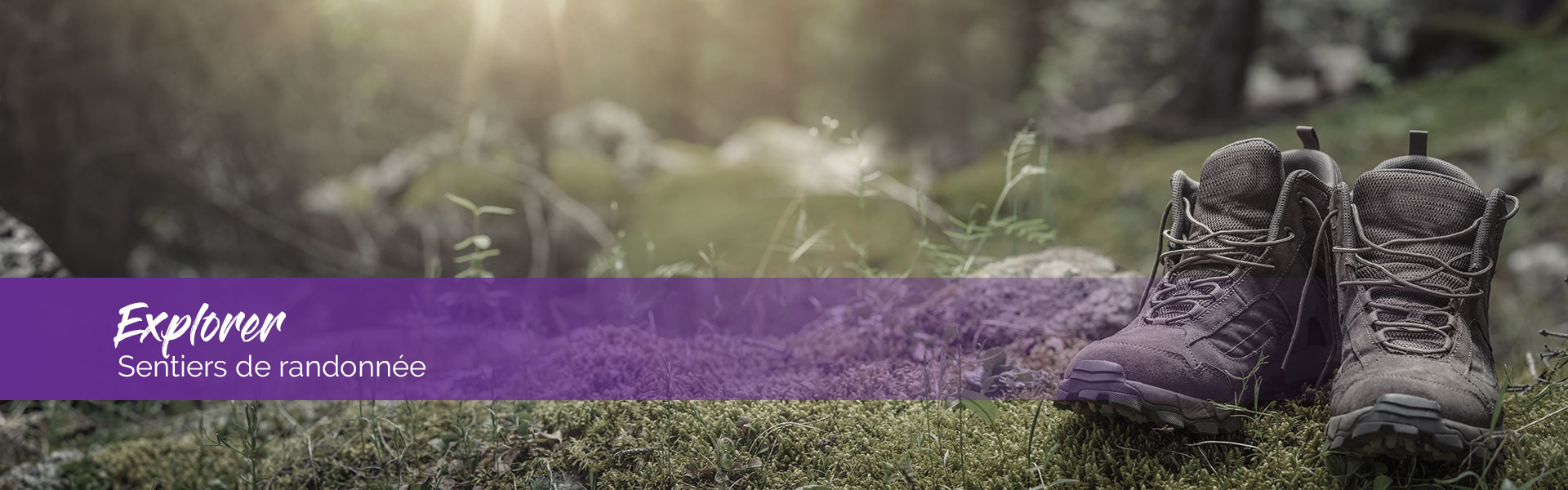 Sentiers de randonnée dans le Harz