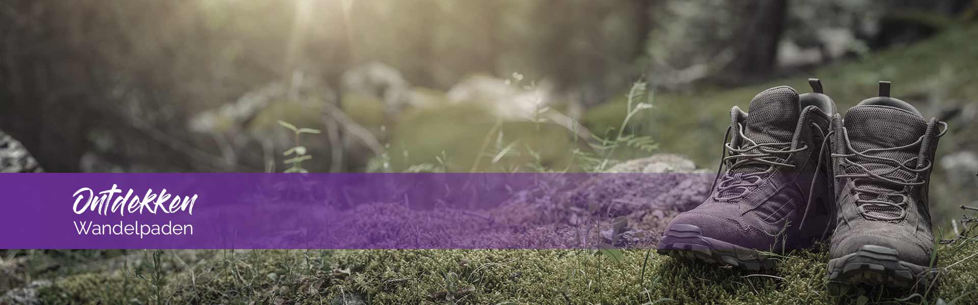 Wandelroutes in de Harz