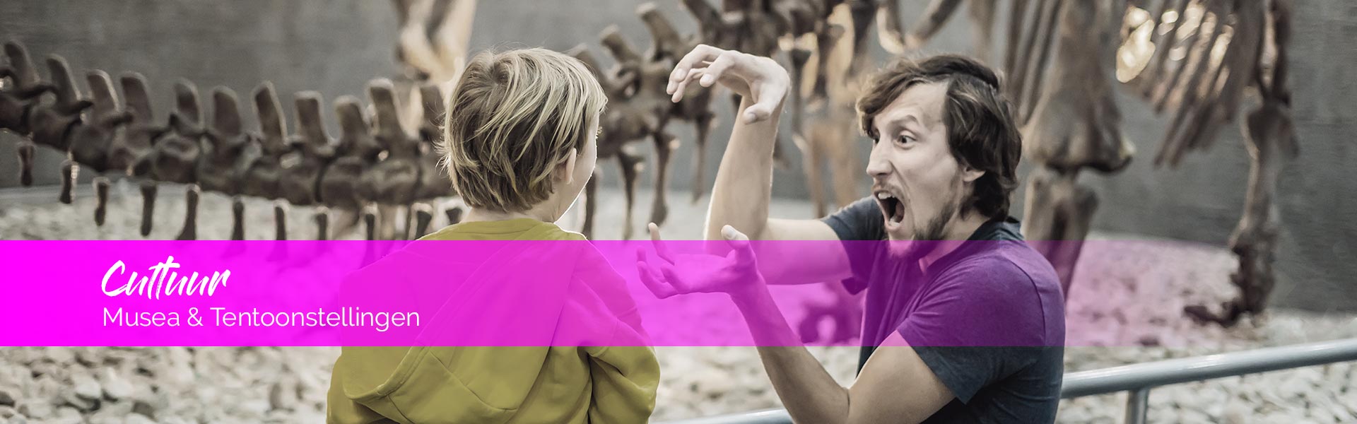 Musea en tentoonstellingsruimten in de Harz