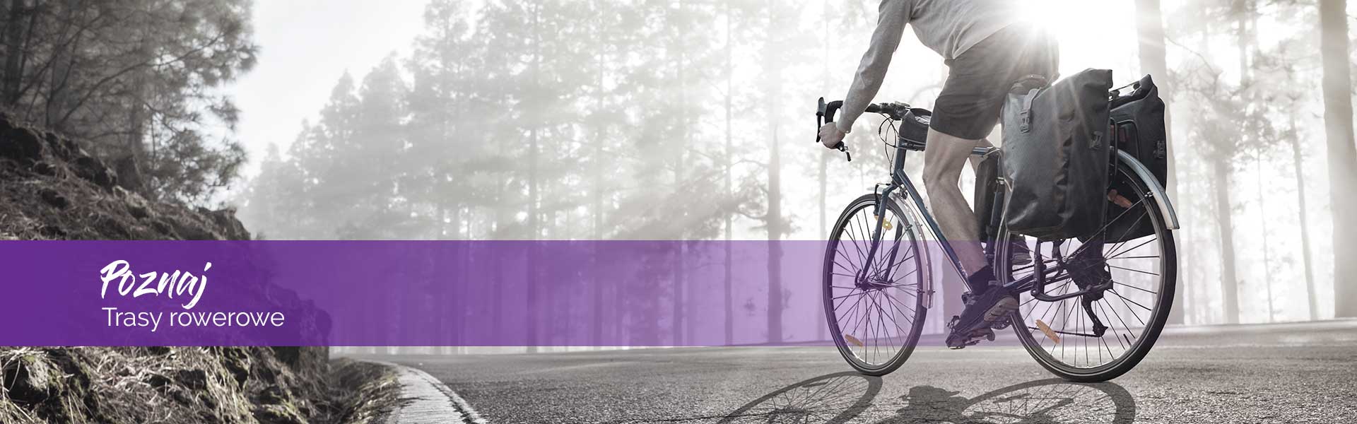 Trasy rowerowe w Harzu