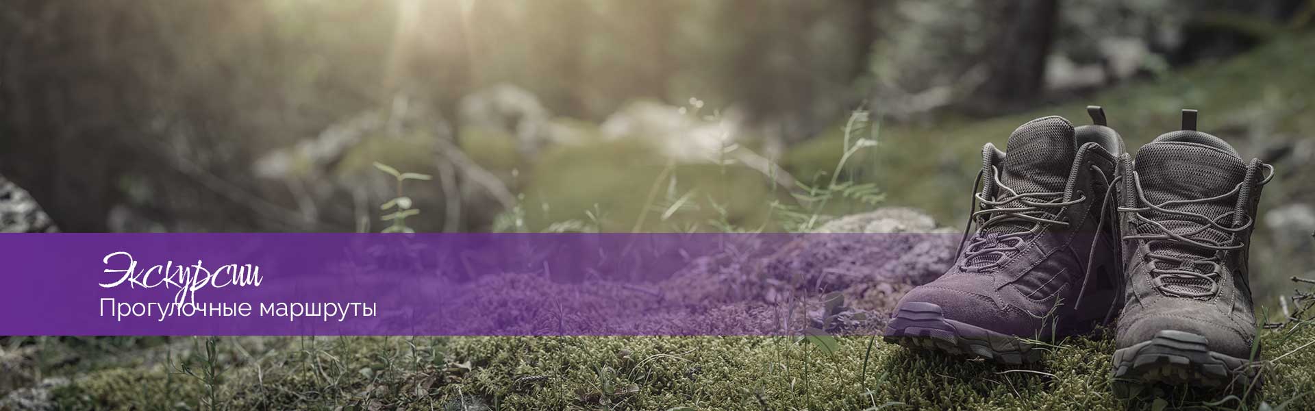 Пешеходные маршруты в Гарце