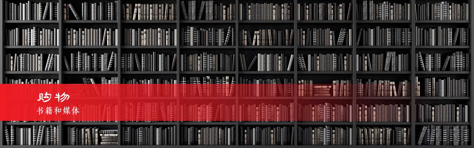 哈尔茨山脉的书店和媒体商店