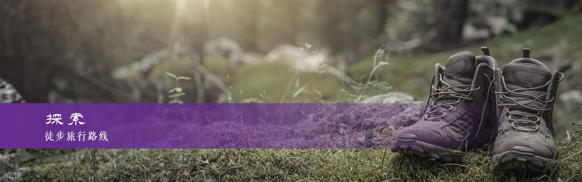 哈尔茨的徒步旅行路线