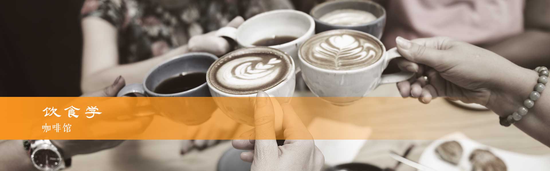 哈尔茨地区最好的咖啡馆