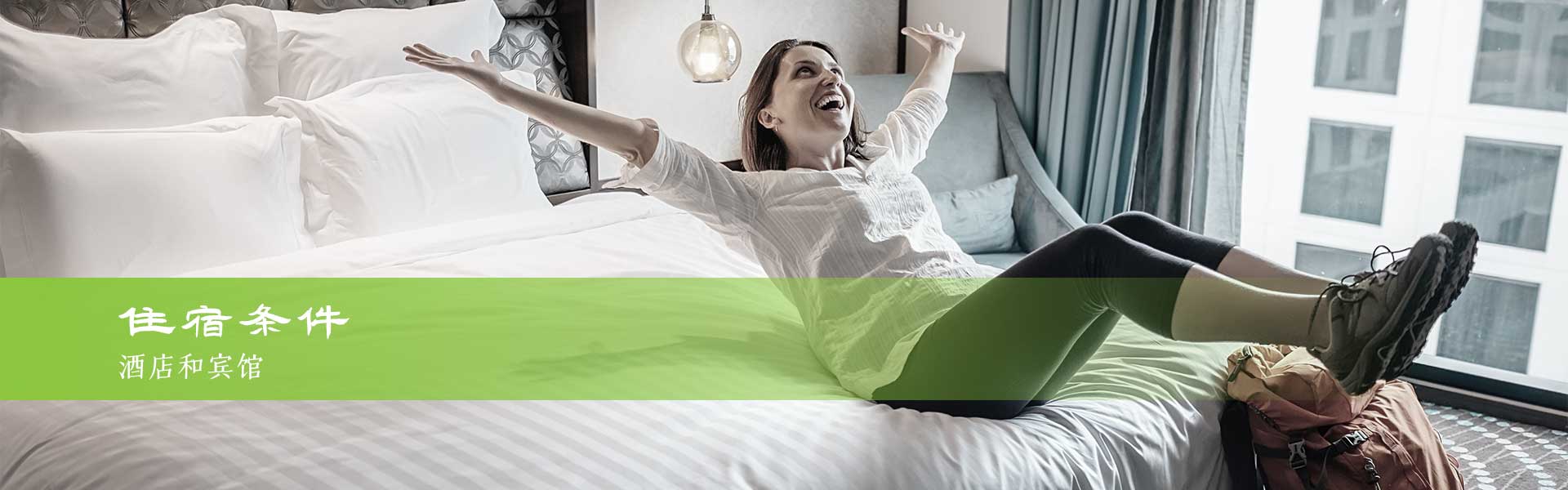 哈尔茨地区最好的酒店