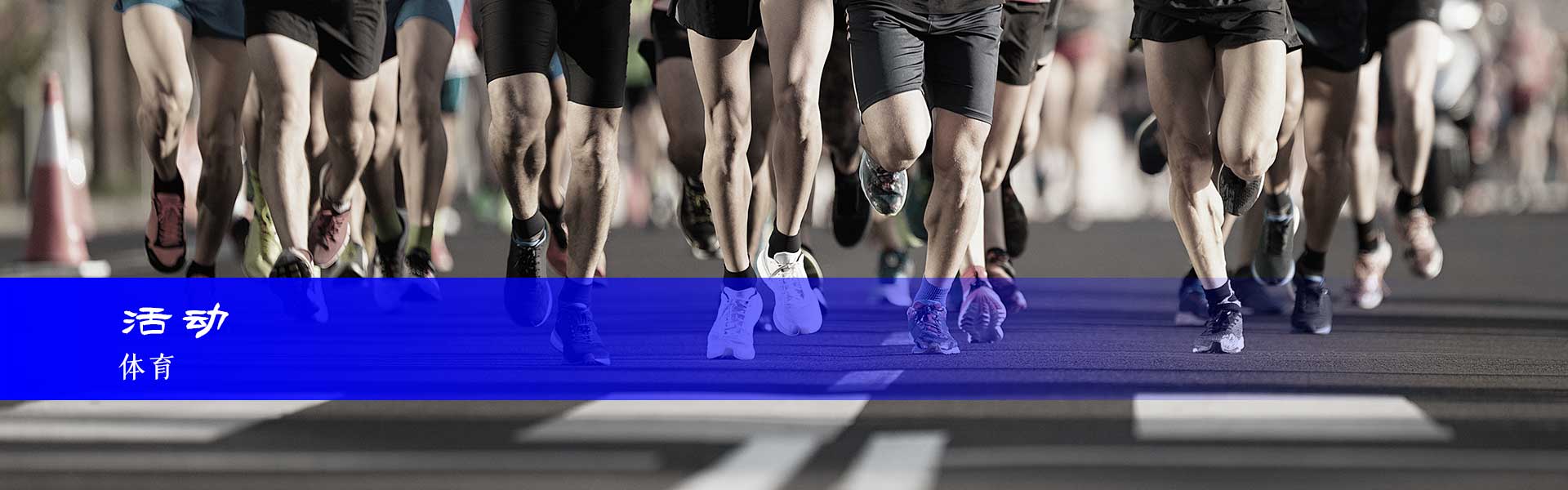 哈尔茨山脉的体育赛事和活动