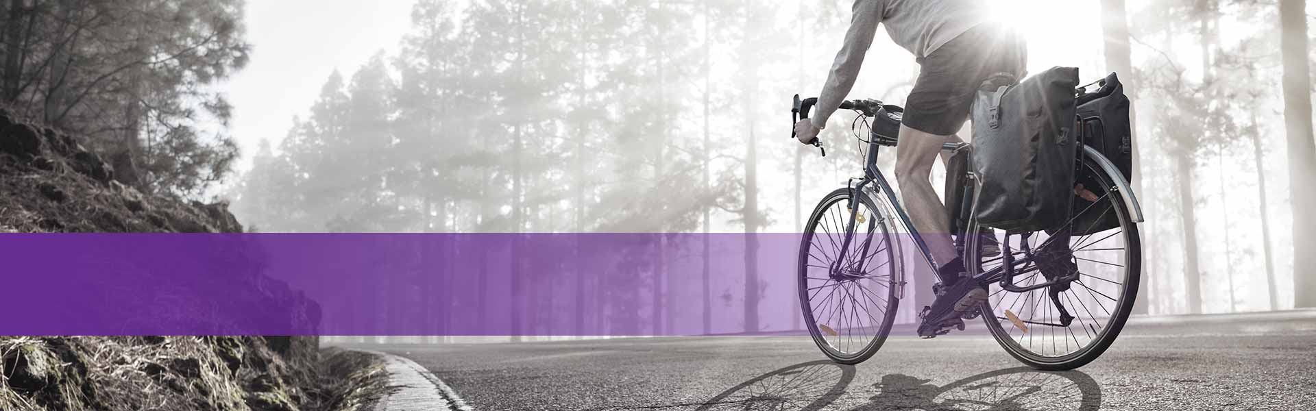 Kategorie Erkunden Fahrradstrecken - Radfahrer auf einer Straße durch den Wald